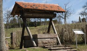 Lammquelle in Zavelstein.jpg