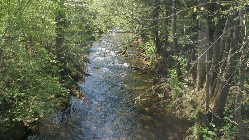 Datei:Eyach bei der Waldhexe.JPG