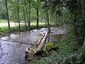 Wanderweg an der Eyach entlang, von Eyachmühle (Dobel) aus flussaufwärts