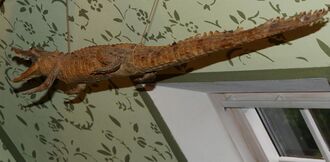 GHV Schaf-Krokodil2.jpg