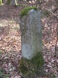 Historischer Grenzstein am Grenzweg in Langenalb