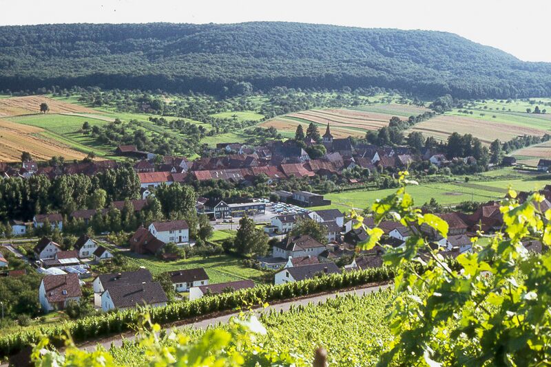 Datei:Shuetzig1.jpg