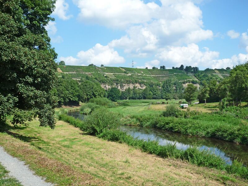Datei:Muehlhausen-Weinberge2.jpg