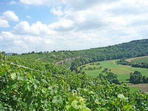 Muehlhausen-Enz-SChlinge.jpg