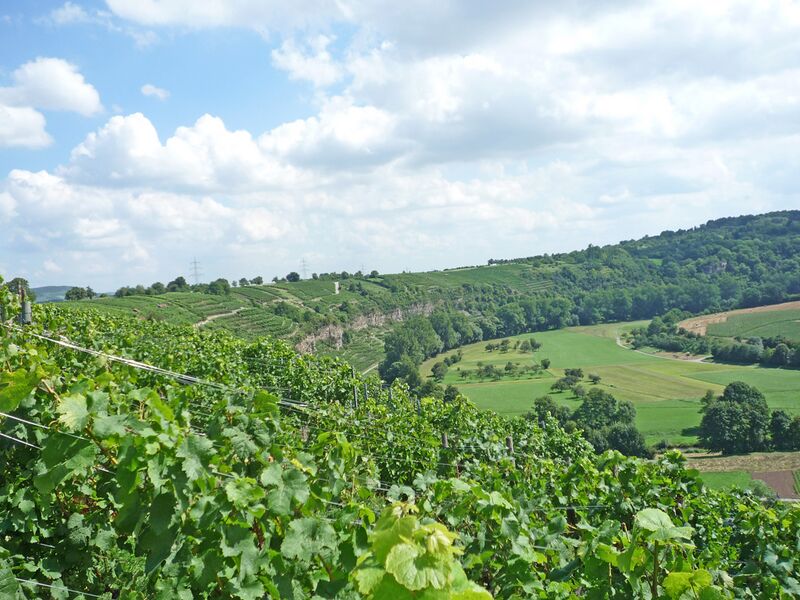 Datei:Muehlhausen-Enz-SChlinge.jpg