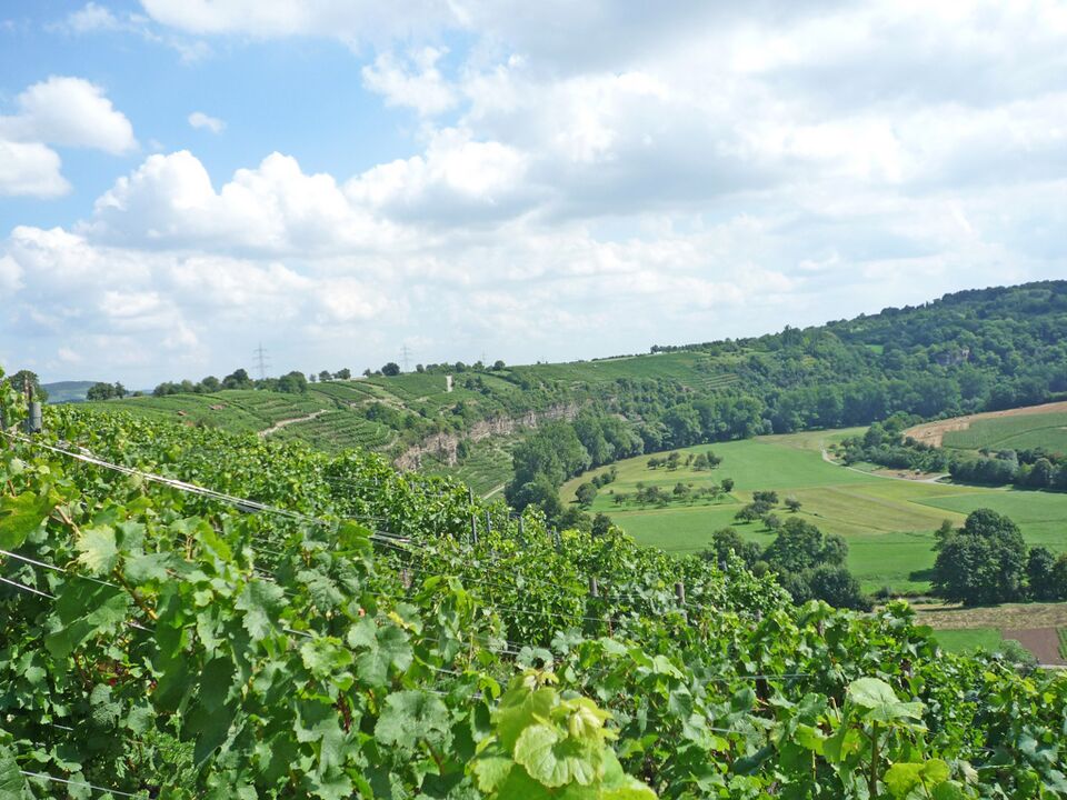 Datei:Muehlhausen-Enz-SChlinge.jpg