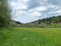 Wiesengelände am oberen Monbach, südöstlich von Monakam