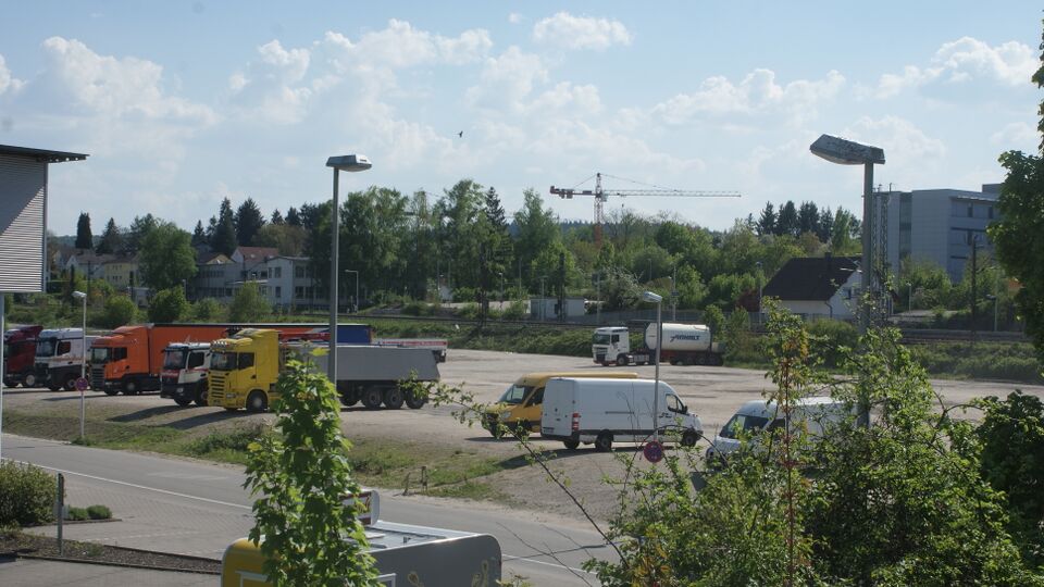 Datei:Schaureben Horn Oberderdingen.jpg