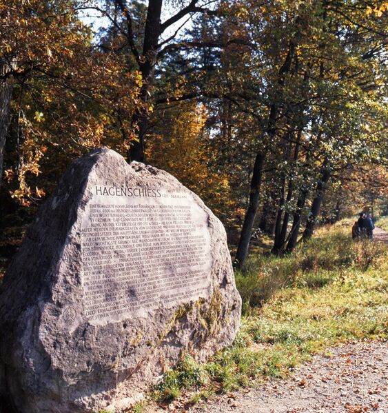 Datei:Stein11.jpg