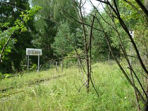 Ostelsheim-Bahnsteig.jpg