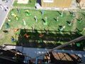 Blick vom Platanenkubus über den Riedbrunnenpark.