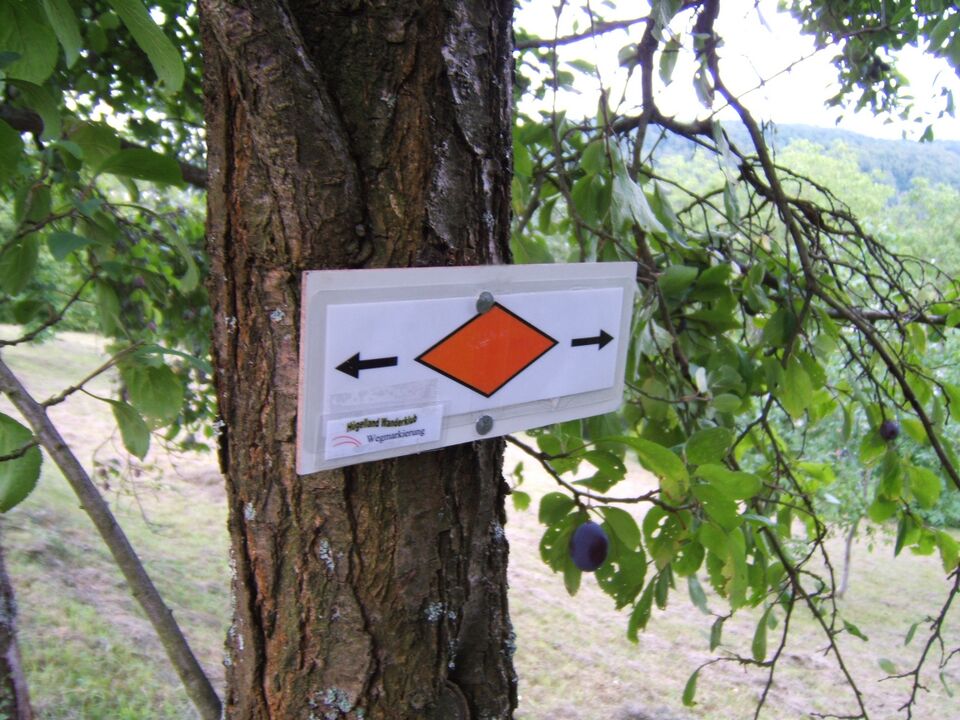 Datei:Raute Orange.JPG