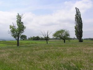 Eisingerloch7.jpg