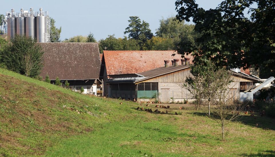 Datei:Störrmühle W.jpg