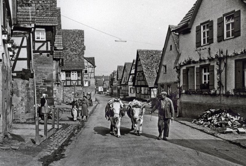 Datei:Schützingen Ländliche-Impression.jpg