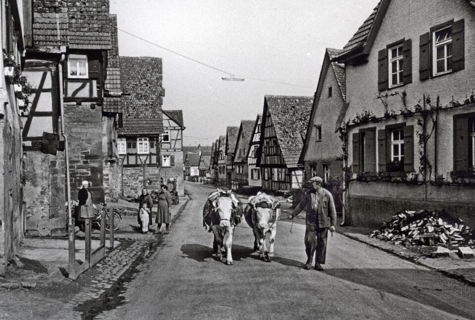 Datei:Schützingen Ländliche-Impression.jpg