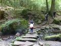 Typische Querung des Monbachs mit Trittsteinen