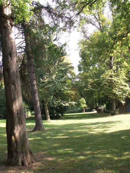 Datei:Oststadtpark.jpg