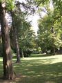 Blick in den Park