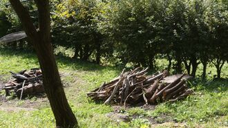 Grillholz unterhalb Achenhütte.jpg