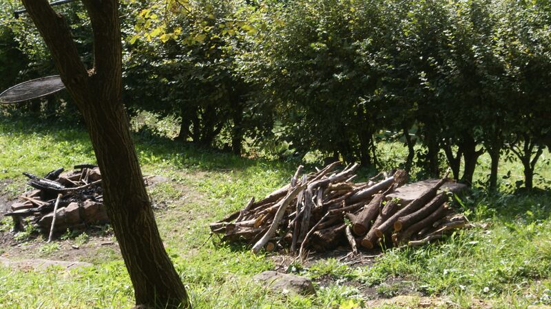 Datei:Grillholz unterhalb Achenhütte.jpg