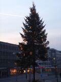 Weihnachtsbaum auf dem Leopoldplatz