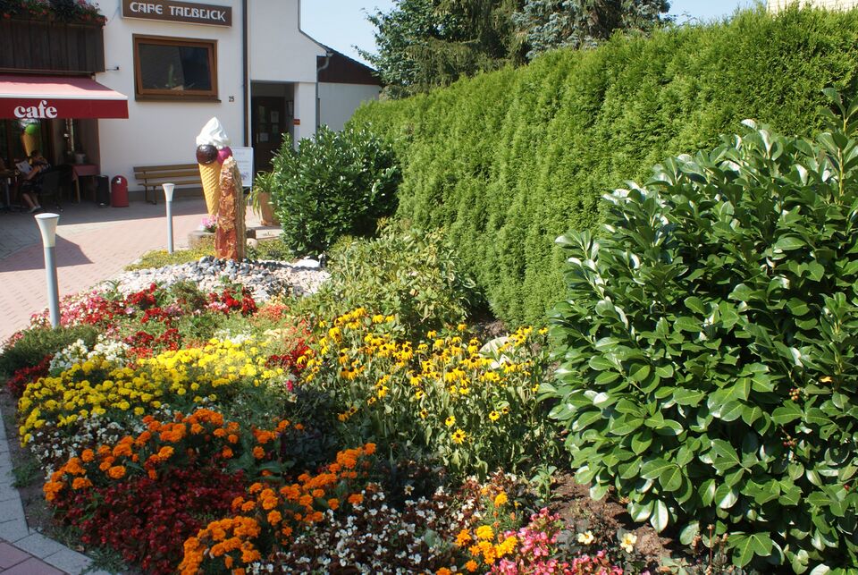 Datei:Zugang zum Talblick.jpg