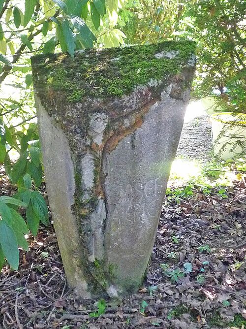 Datei:Baer eierle9.jpg