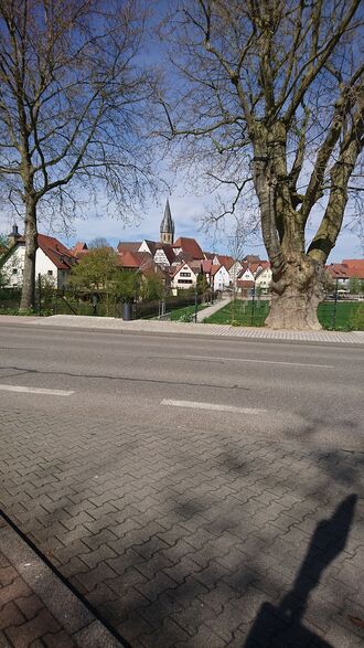Blick nach Eppingen.JPG