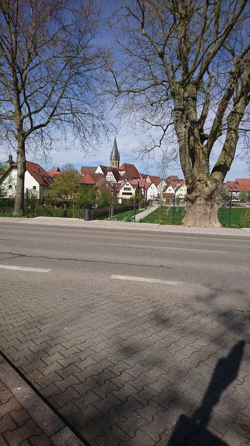 Datei:Blick nach Eppingen.JPG