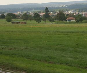 Blick über Segeflufplatz.JPG