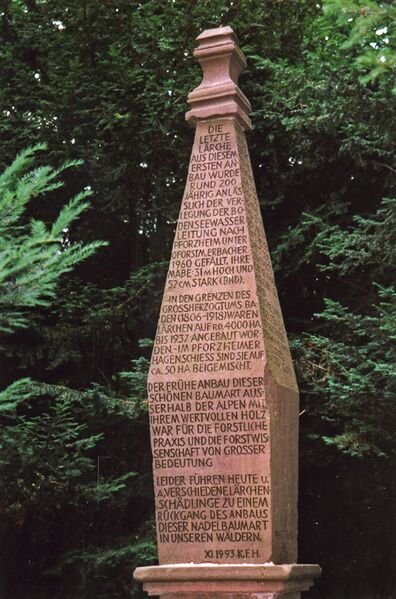 Datei:Lärchenstein im Hagenschieß.jpg