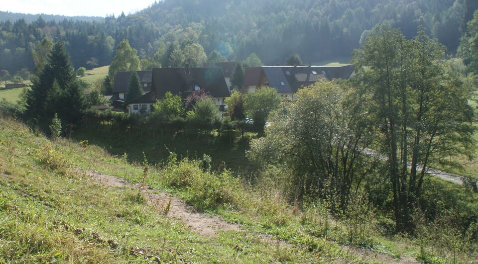 Datei:Gaisbach vom Aschenhüttenweg aus.jpg