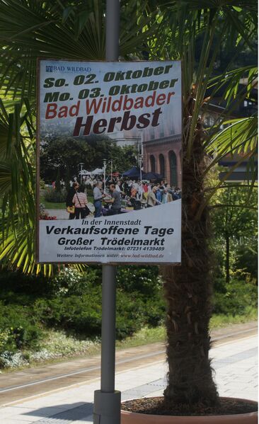 Datei:Bad Wildbader Herbst.JPG