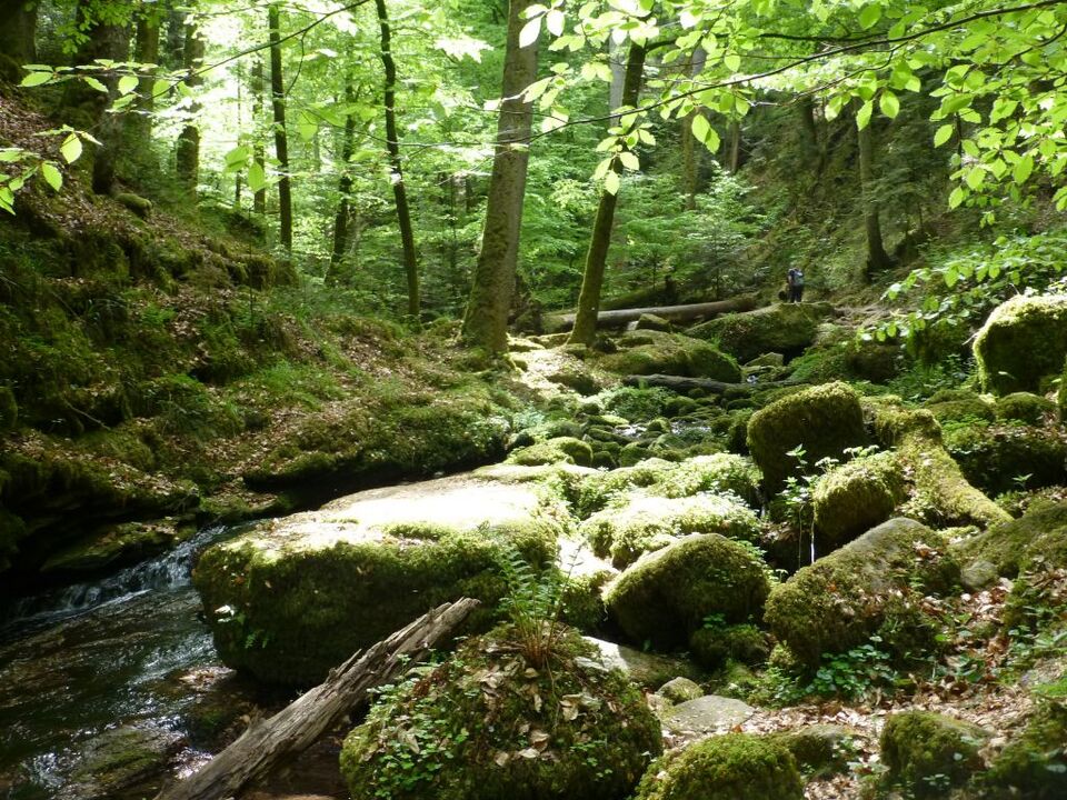 Datei:Monbachschlucht.jpg