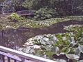 Kurpark