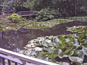 Neubulach-Kurpark.jpg