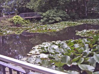Neubulach-Kurpark.jpg