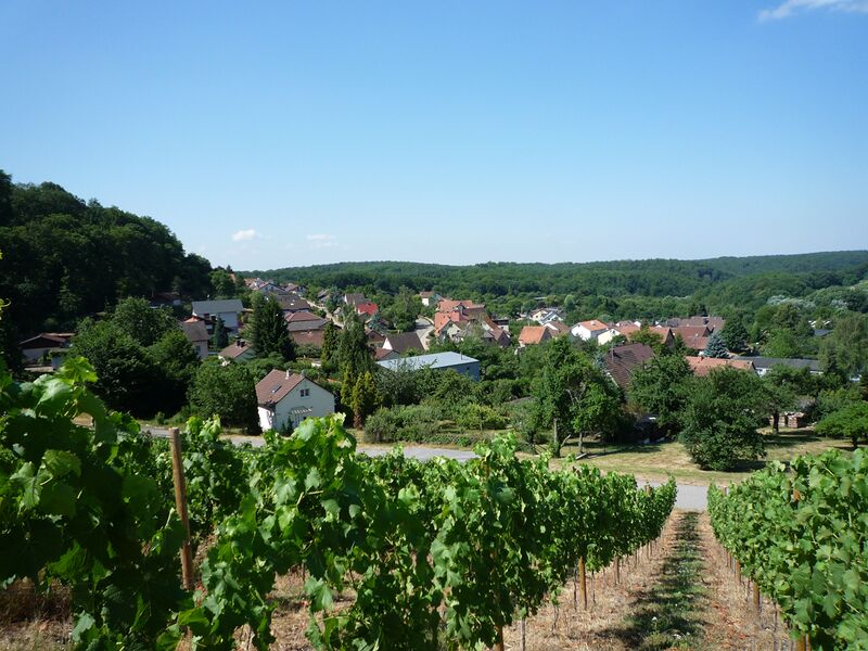 Datei:Sternenfels-vom-Schlossberg.jpg