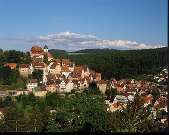 Altensteig .jpg