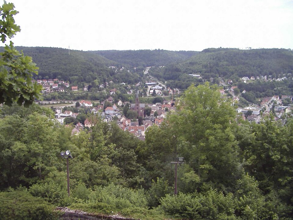 Datei:Blick-von-Hohennagold.jpg