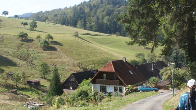 Datei:Aschenhüttenweg zum Anfang.jpg