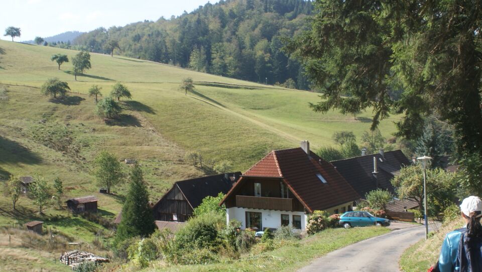 Datei:Aschenhüttenweg zum Anfang.jpg