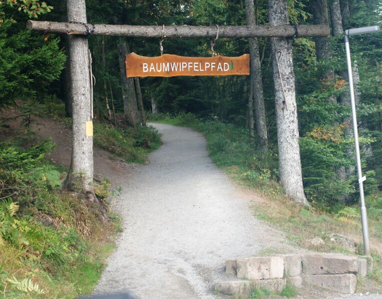Datei:Baumwipfelbad2.JPG
