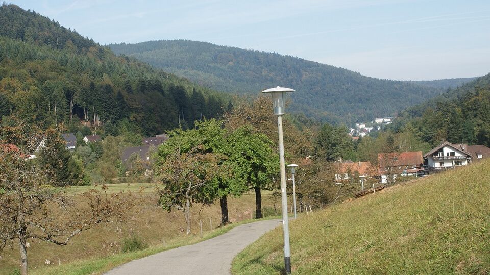 Datei:Weg zum oberen Geistal.JPG