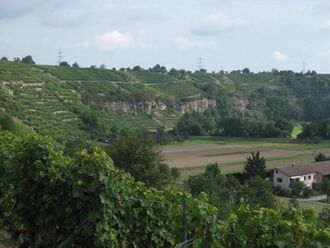 Enztal-Mühlhausen.jpg