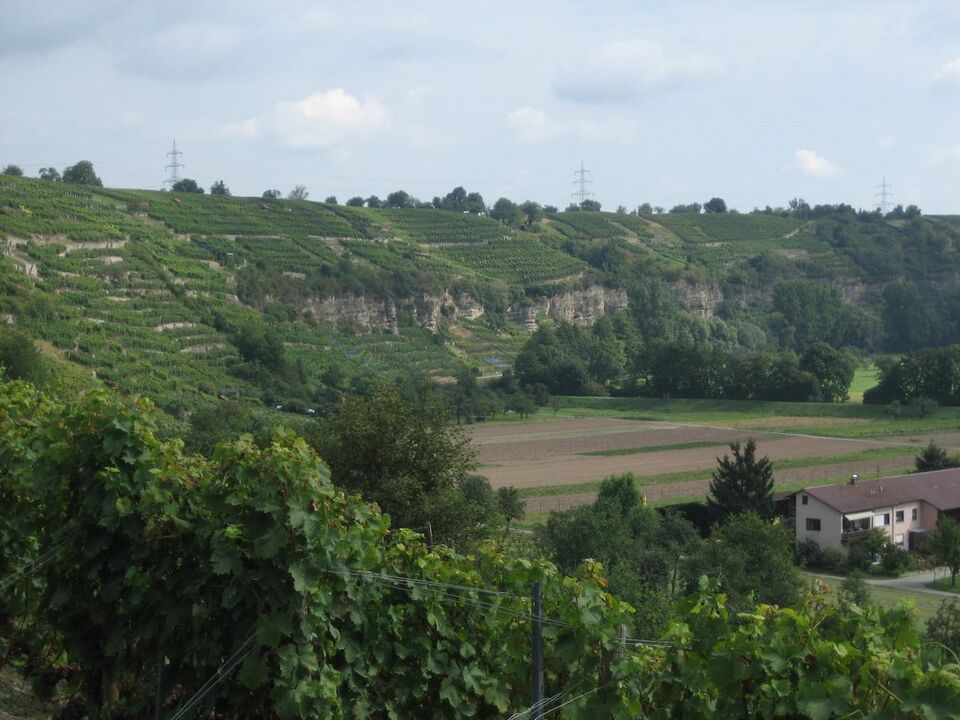 Datei:Enztal-Mühlhausen.jpg
