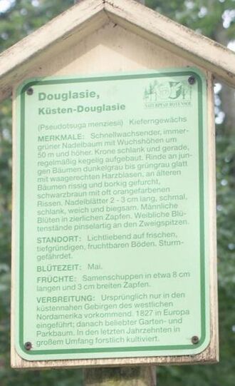 Douglasienschild beim Seerosenteich.jpg