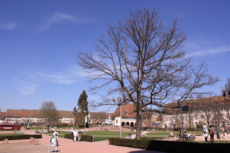 Datei:MarktplatzFreudenstadt.jpg