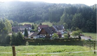 Wiese Oberes Gaistal.JPG
